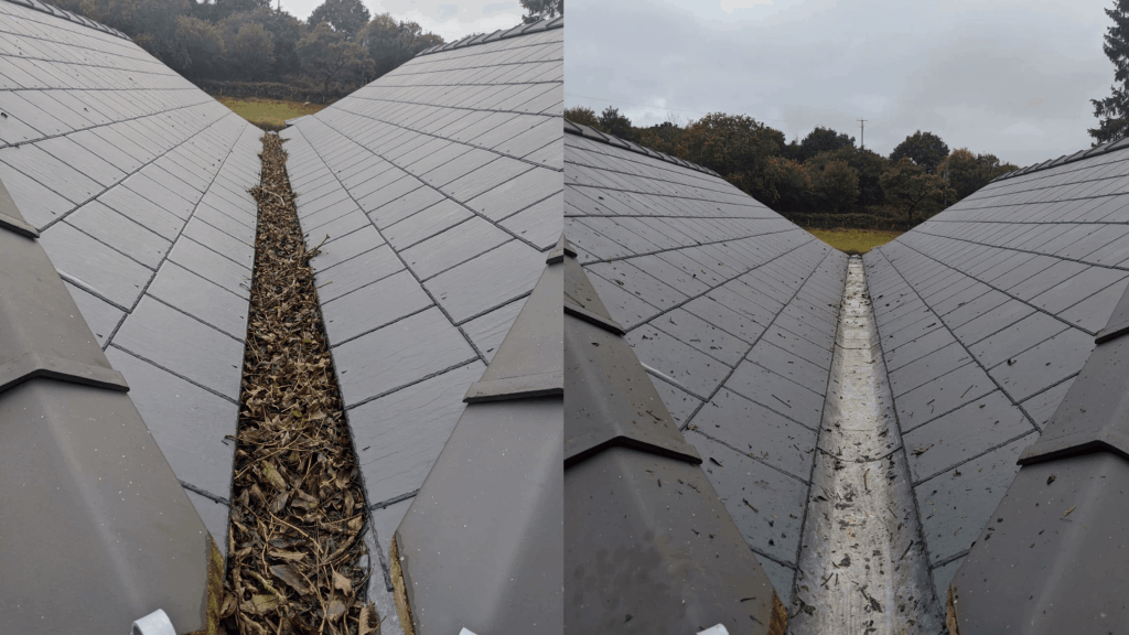 before after roof clean