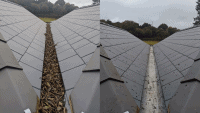 before after roof clean